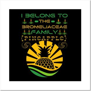 I Belong to the Bromeliaceae Family Pineapple (Ananas Comosus) Posters and Art